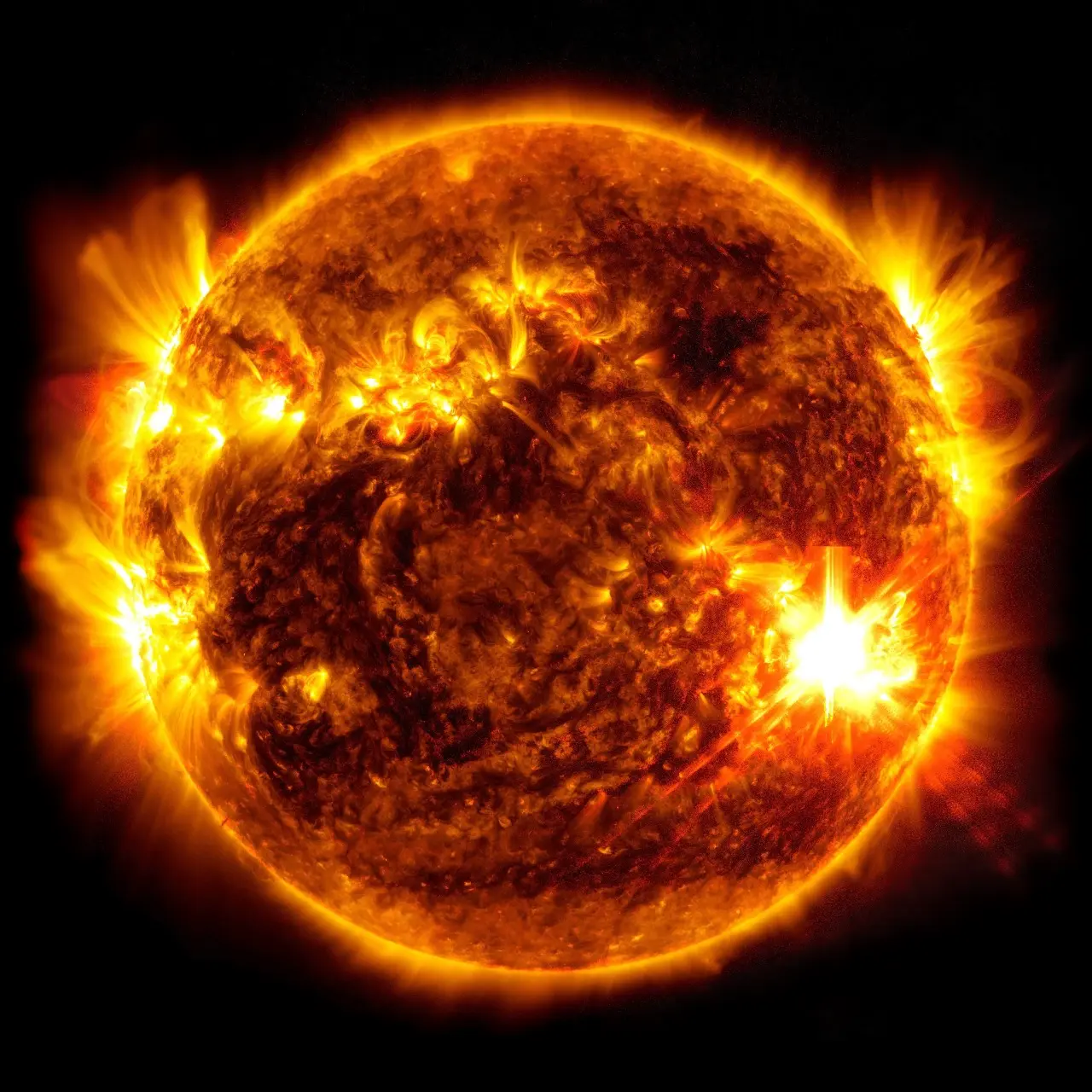 Solar activity image